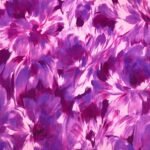 Fabric Ref 5593 - Abstract Floral Cotton