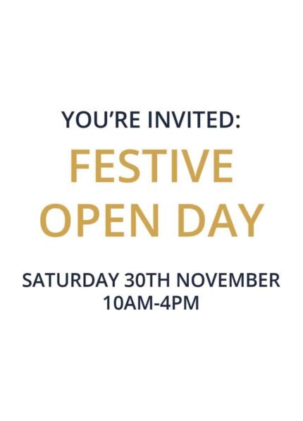 Festive Open Day Ticket 10am-1pm