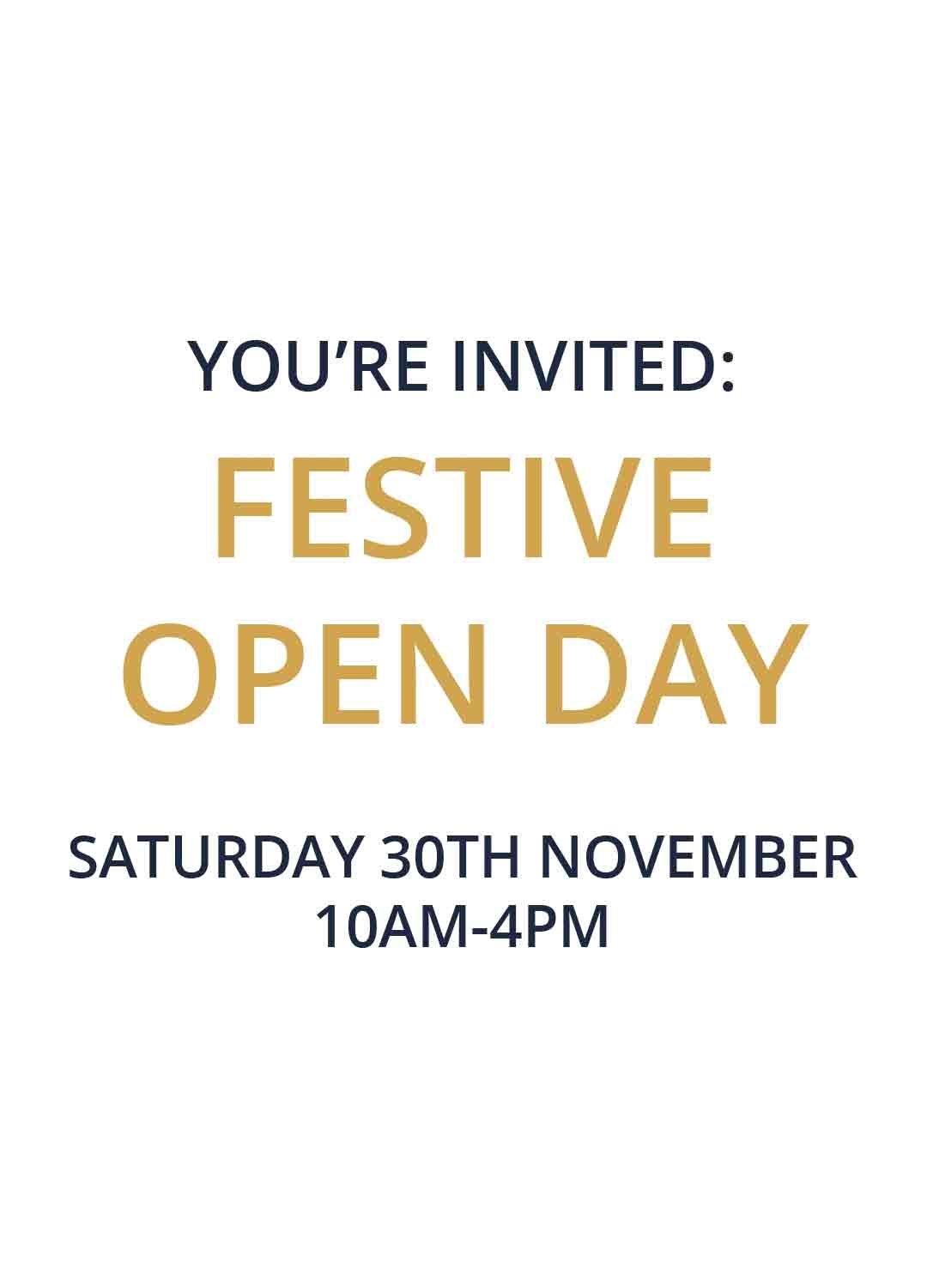 Festive Open Day Ticket 10am-1pm