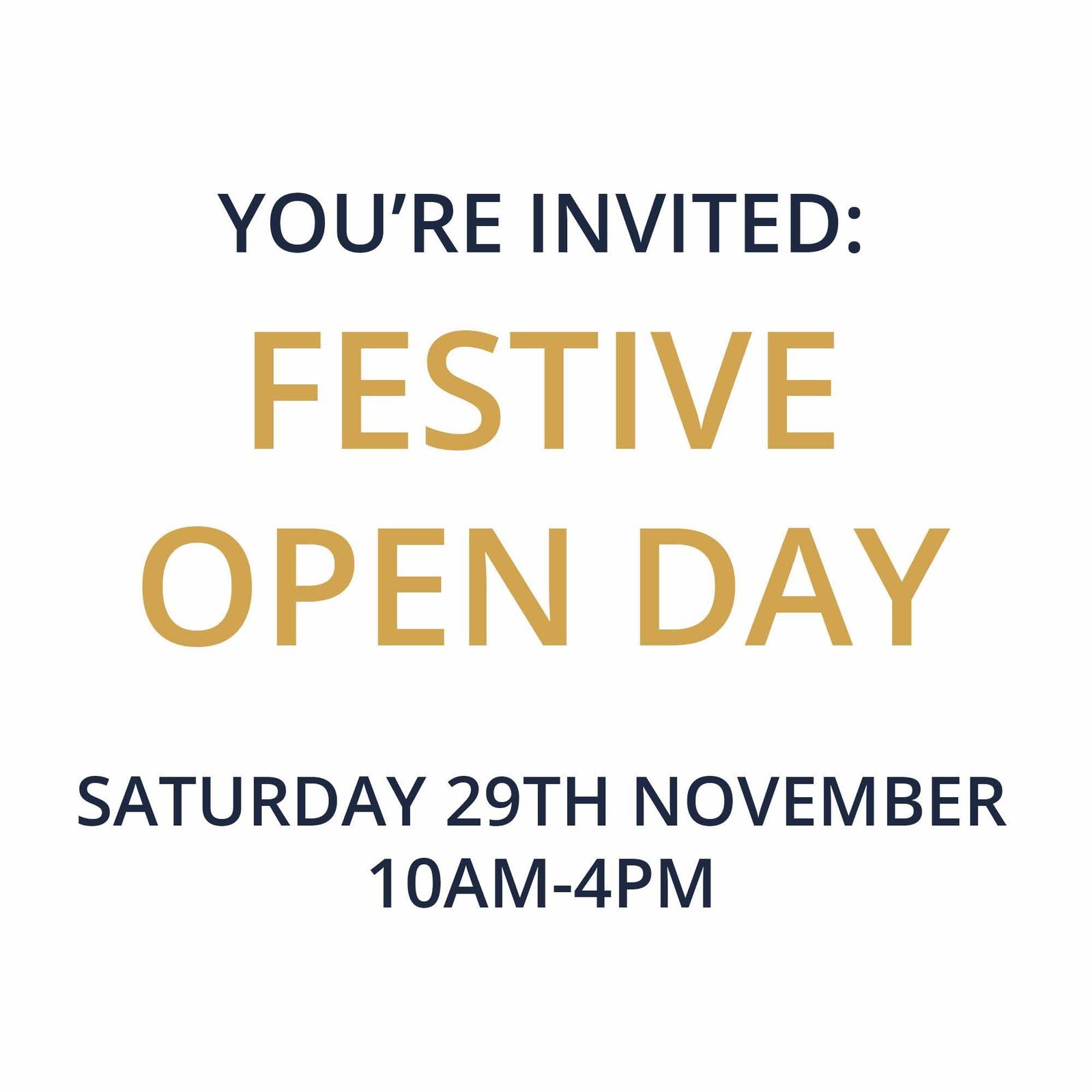 Festive Open Day Ticket 1.30-4pm